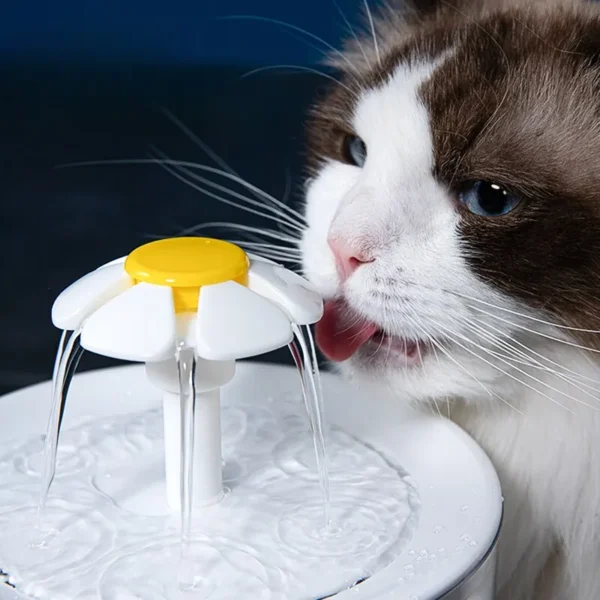 Fonte de água de circulação automática Pet Cat Mudo Dispenser, Cão transparente pétala, Filtro de água, Power Outage - Image 2