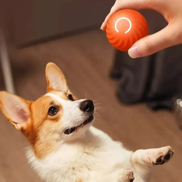 Movimento automático Bouncing Rolling Ball para Dog, USB, Inteligente, Interativo, Mastigar Brinquedo, Cachorro - Image 5